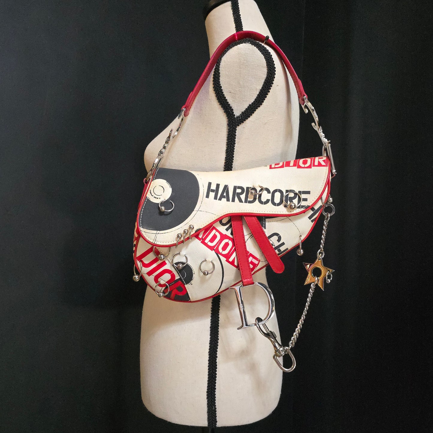 Dior Saddle Bag Hardcore Collection
