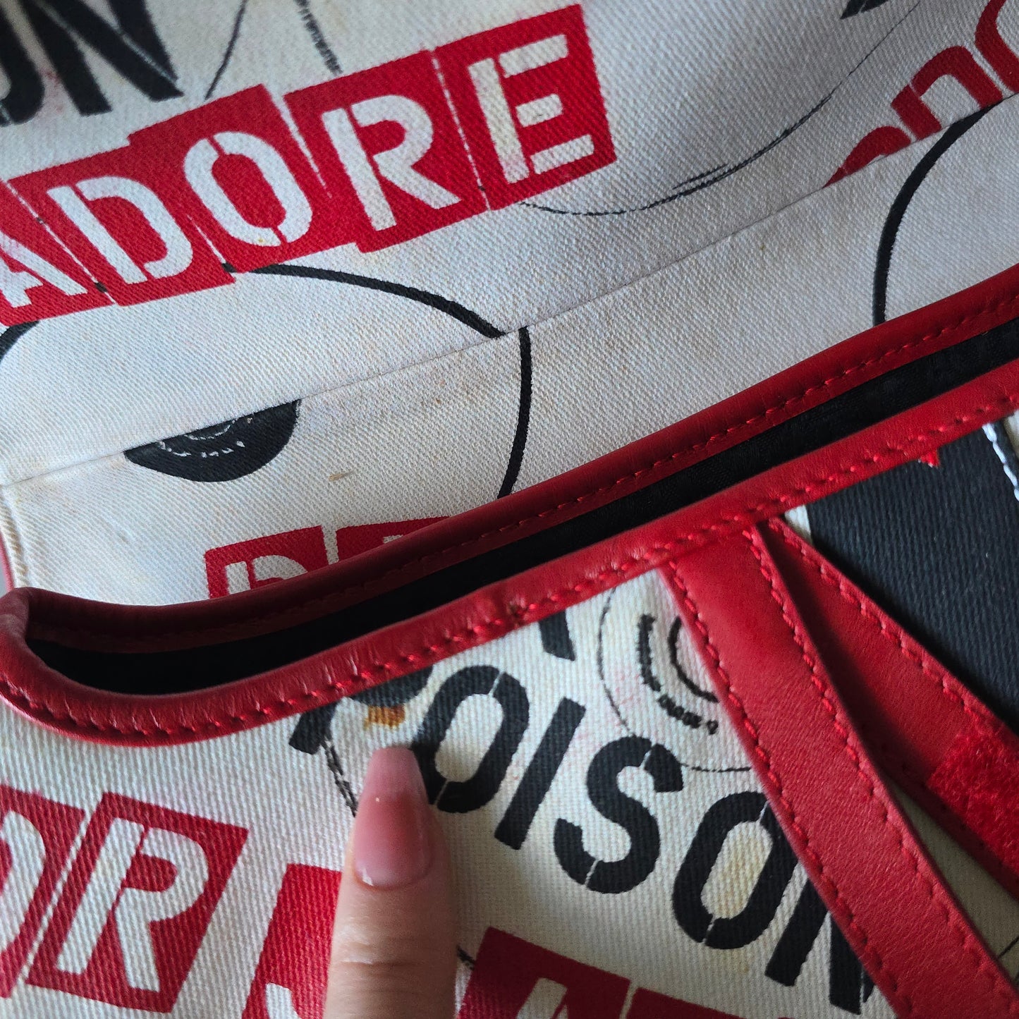 Dior Saddle Bag Hardcore Collection