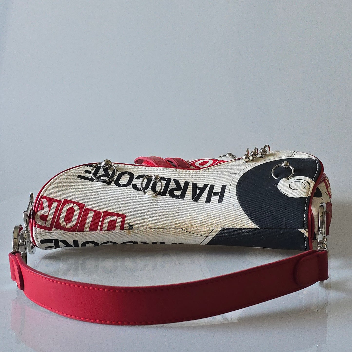 Dior Saddle Bag Hardcore Collection