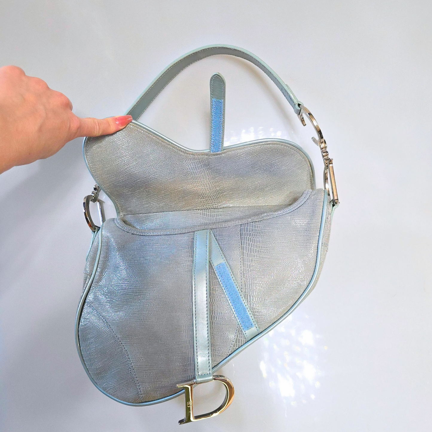 Dior Lizard Print Embossed Saddle Bag