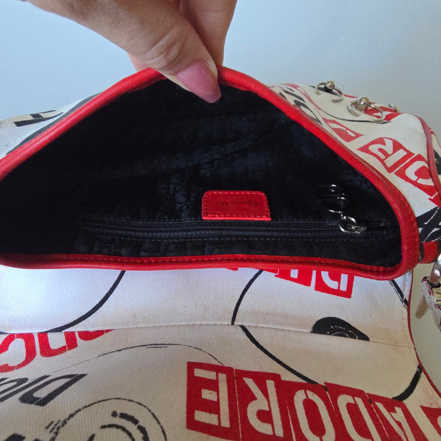Dior Saddle Bag Hardcore Collection