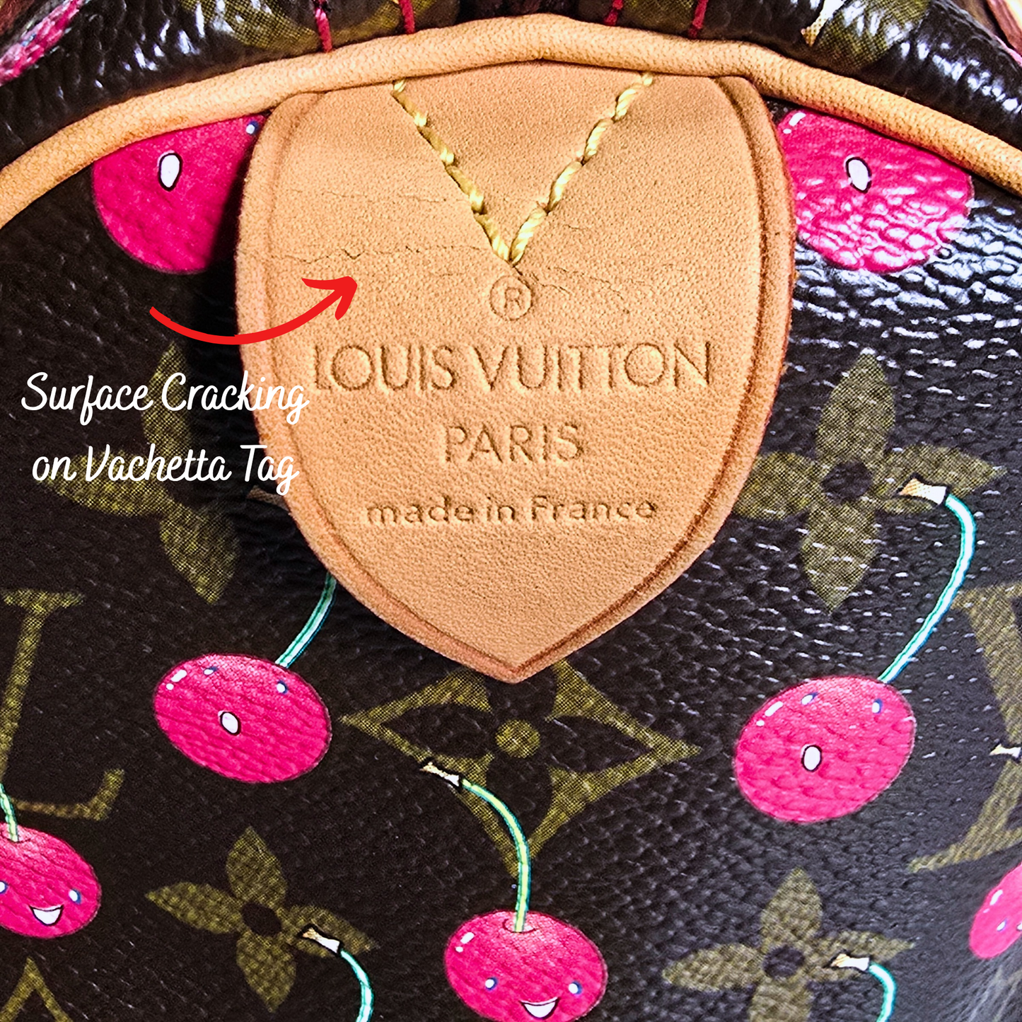 Louis Vuitton Cherry Speedy 25 Vintage
