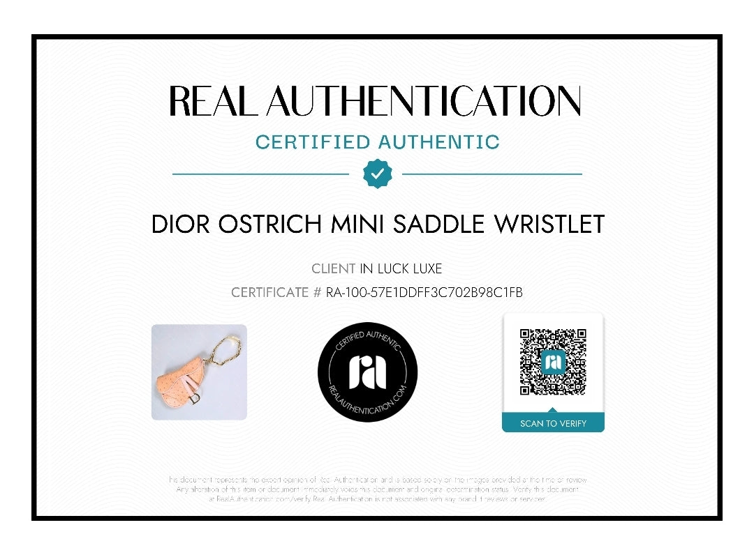 Dior Saddle Bag Mini Wristlet Ostrich Leather