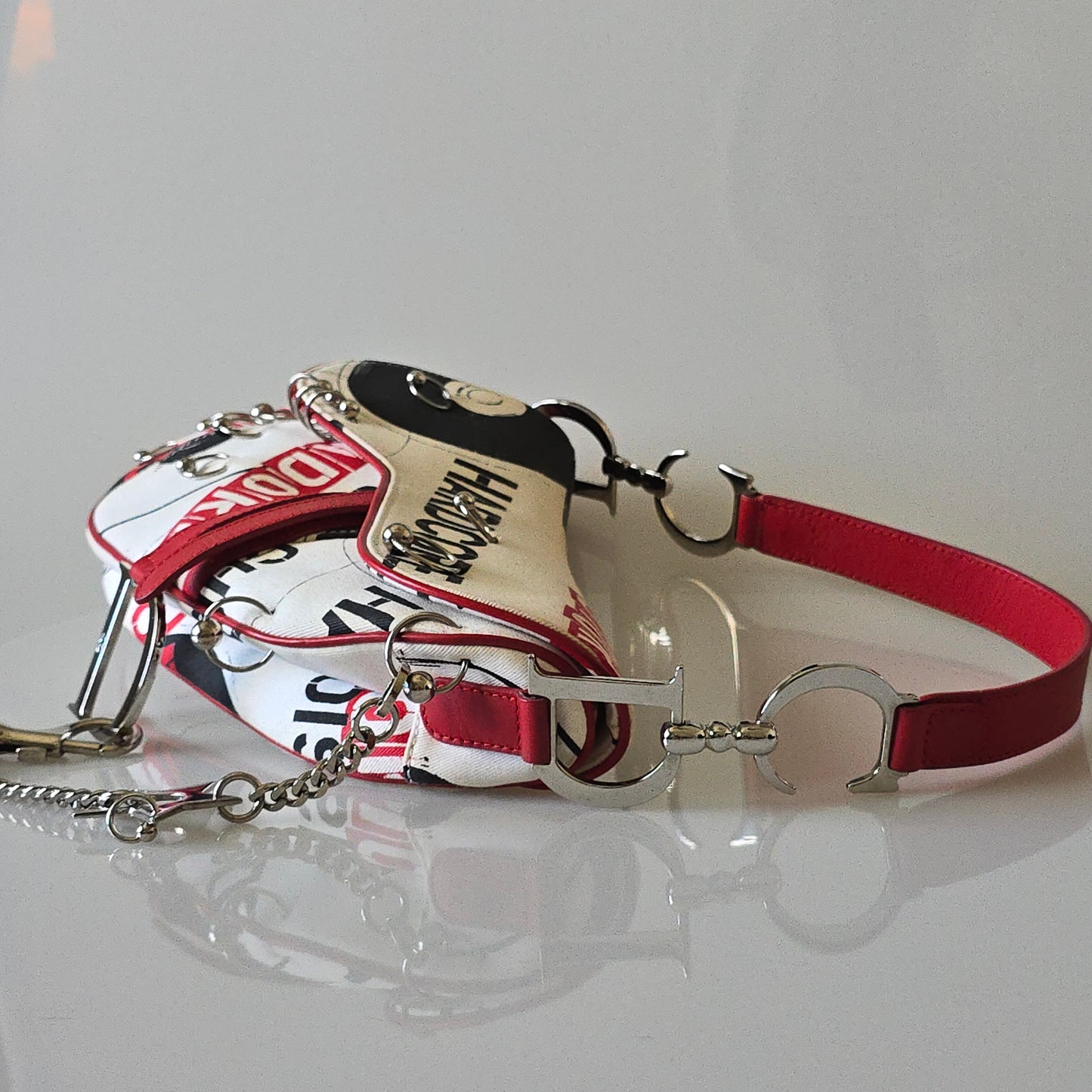 Dior Saddle Bag Hardcore Collection