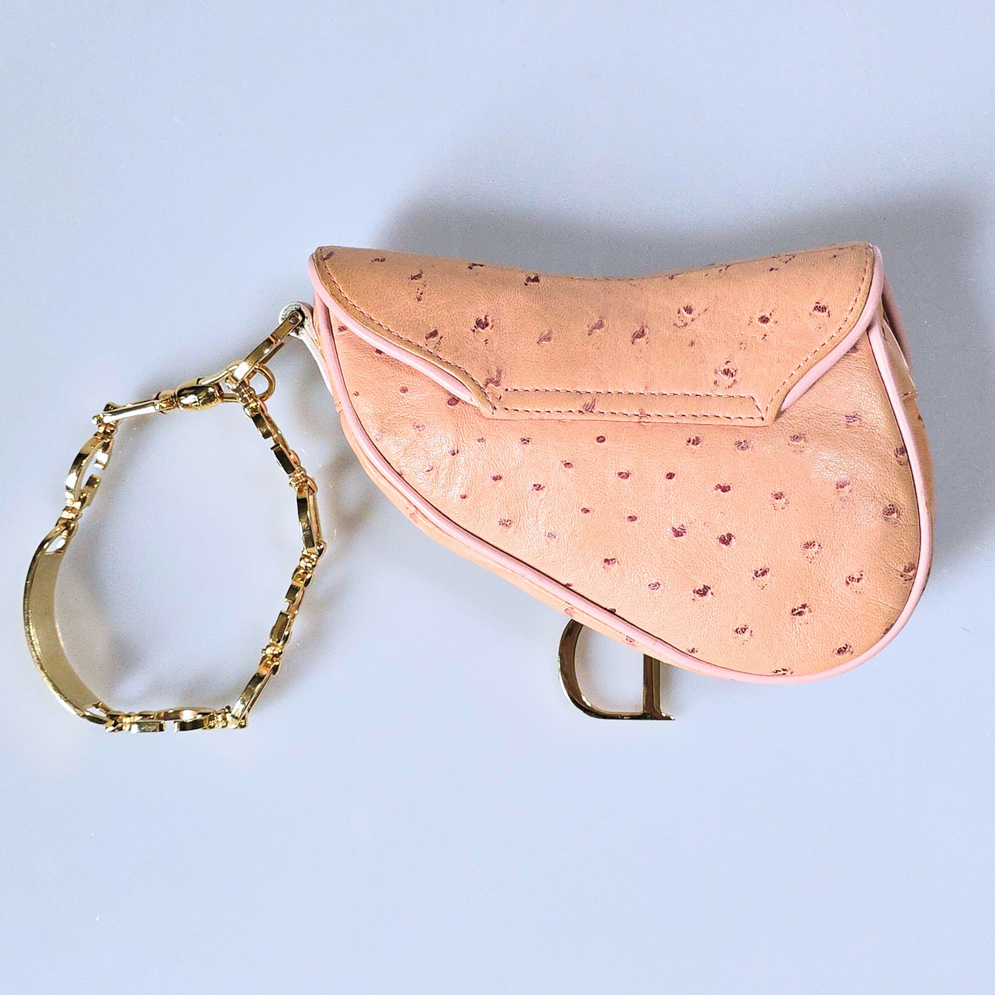 Dior Saddle Bag Mini Wristlet Ostrich Leather