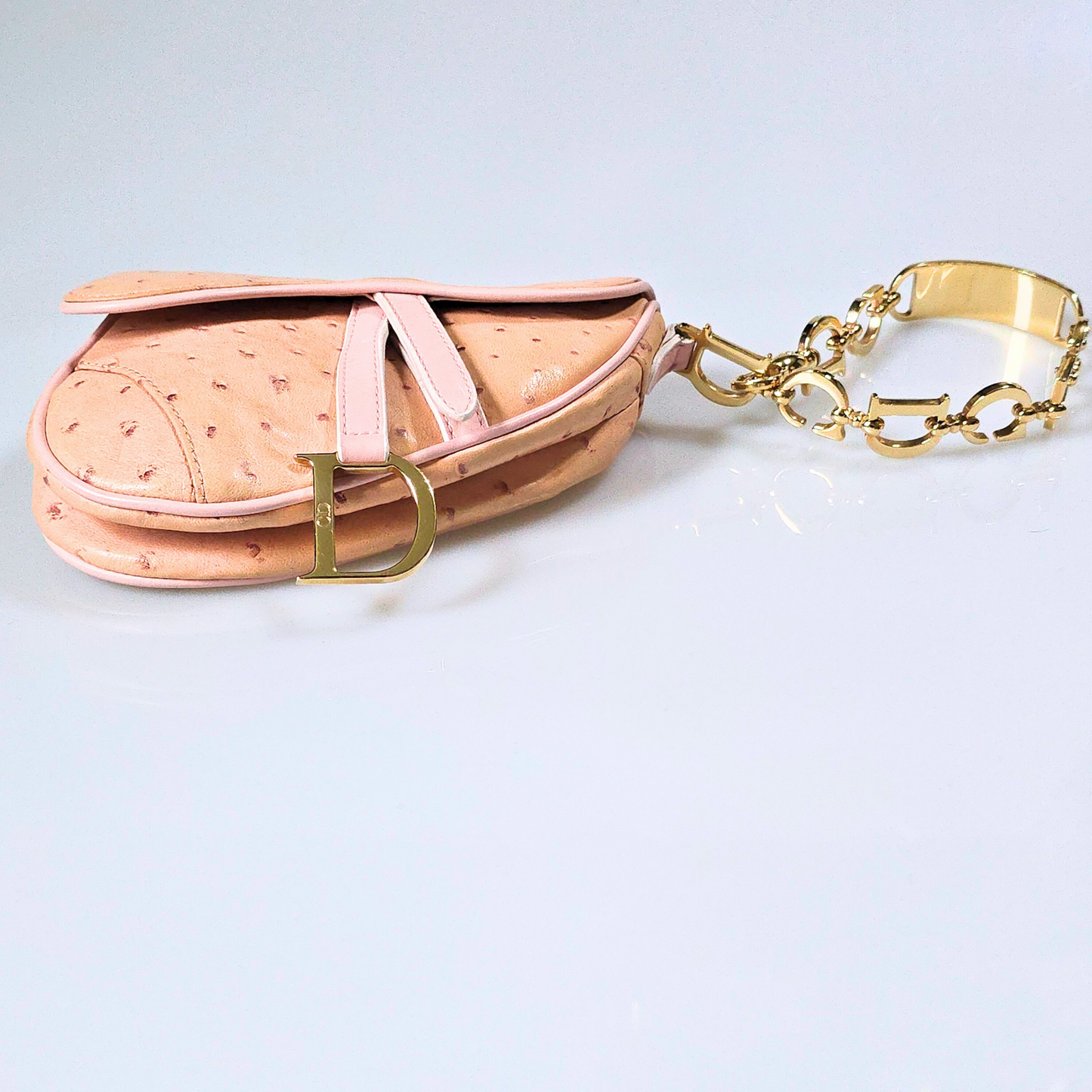 Dior Saddle Bag Mini Wristlet Ostrich Leather