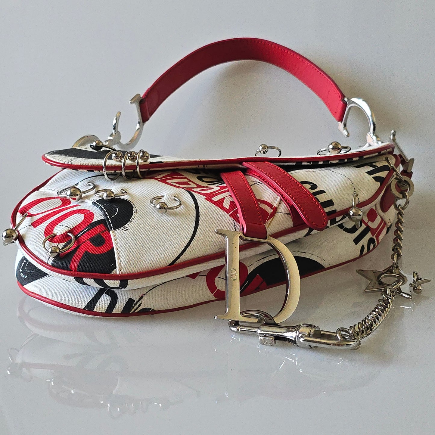 Dior Saddle Bag Hardcore Collection
