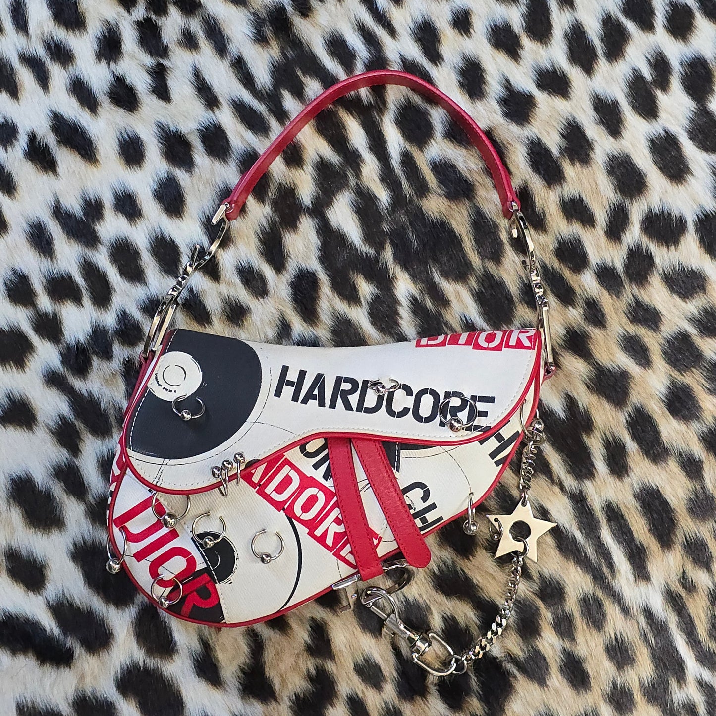 Dior Saddle Bag Hardcore Collection