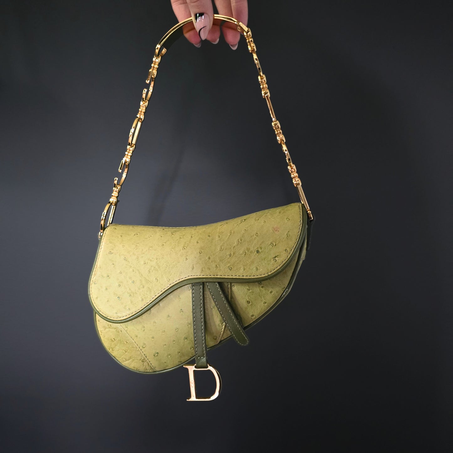 Dior Saddle Bag Green Ostrich Leather C&D Chain Strap Small