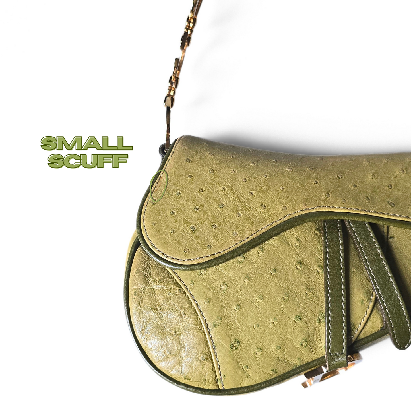 Dior Saddle Bag Green Ostrich Leather C&D Chain Strap Small