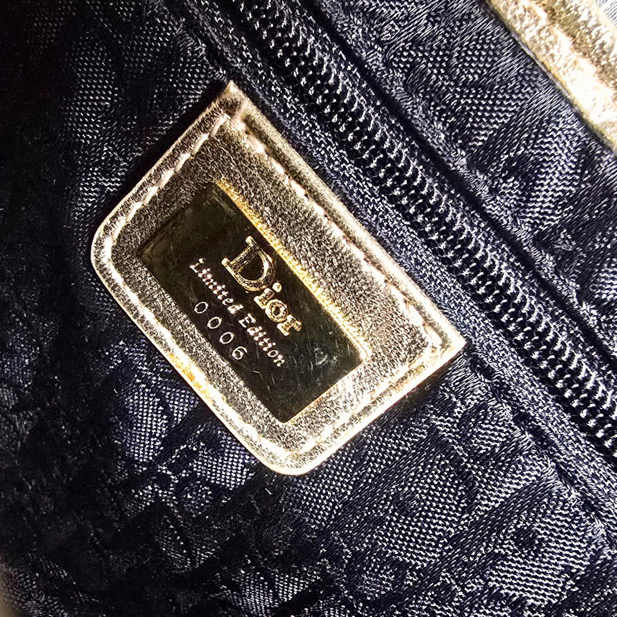 Dior Saddle Bag Limited Edition Pinstripe Sequin Embroidered