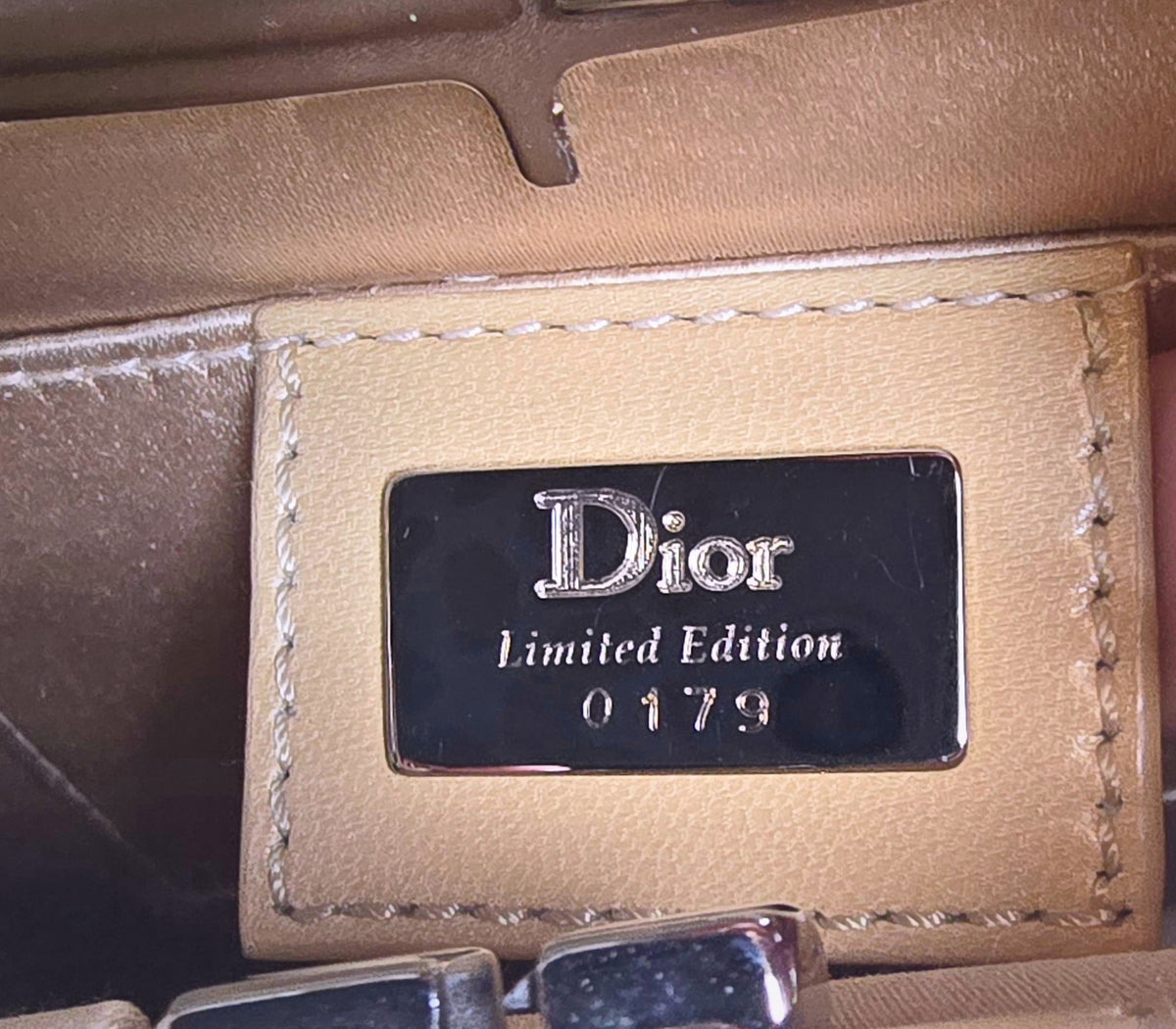 Dior Limited Edition Small Frame Saddle Bag Nude Silk Silver Beading