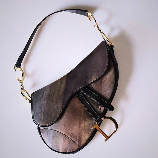 Dior Saddle Bag Gradient Nylon