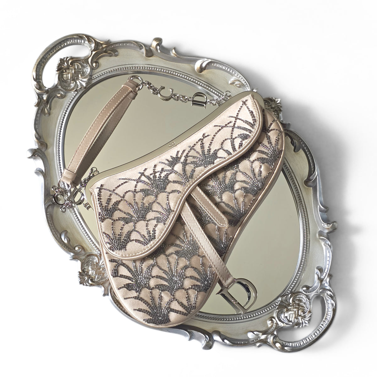 Dior Limited Edition Small Frame Saddle Bag Nude Silk Silver Beading