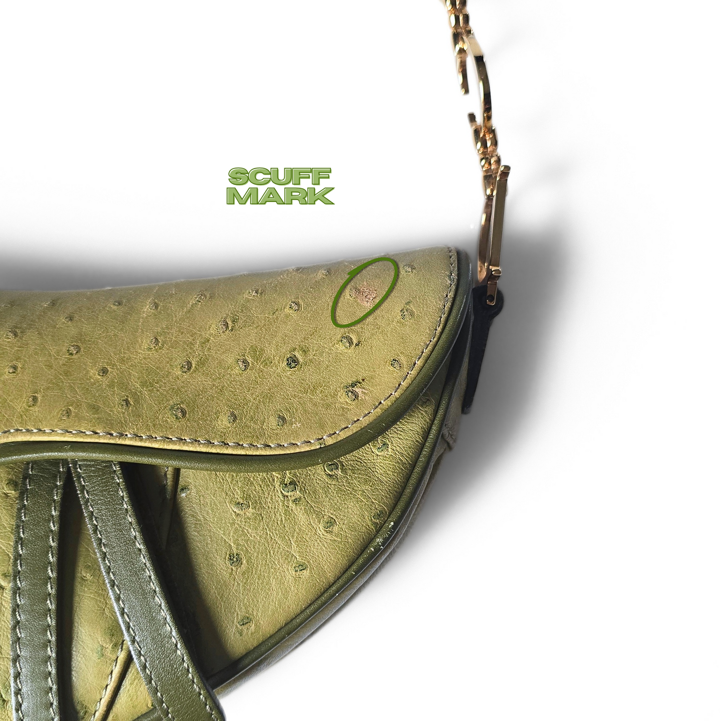 Dior Saddle Bag Green Ostrich Leather C&D Chain Strap Small