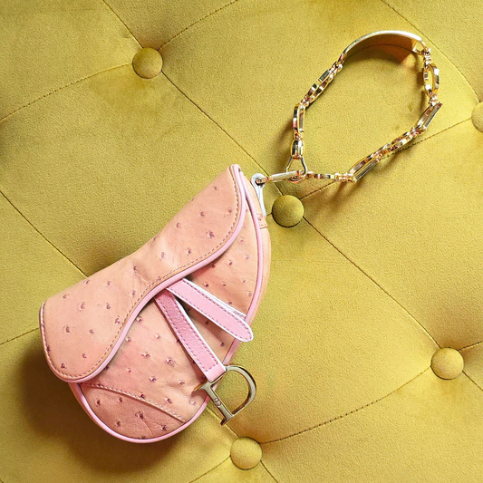 Dior Saddle Bag Mini Wristlet Ostrich Leather